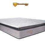 Tích hợp công nghệ Micro Ultra Coil Pocket giúp nệm Dunlopillo Evita êm ái hơn