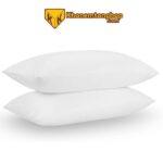 Gối hơi trắng Anita