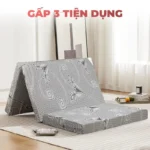 Nệm bông ép Beetex vải gấm 16