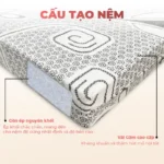 Nệm bông ép Beetex vải gấm 11