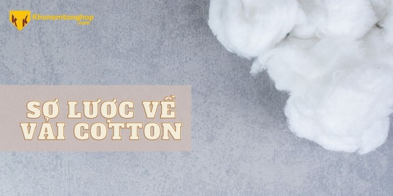So sánh vải Cotton và Tencel - Dòng vải nào tốt hơn khi mua chăn drap gối?￼ 3