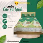 Bộ Chiếu Cao Su Non (Cao Su Lạnh) 47