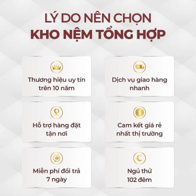 Nệm cao su hoạt tính Daafar Foam X Gấp 3 12