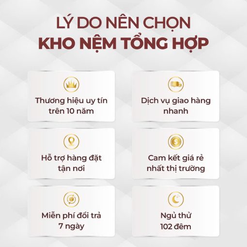 Nệm cao su nhân tạo Beetex Foam 6