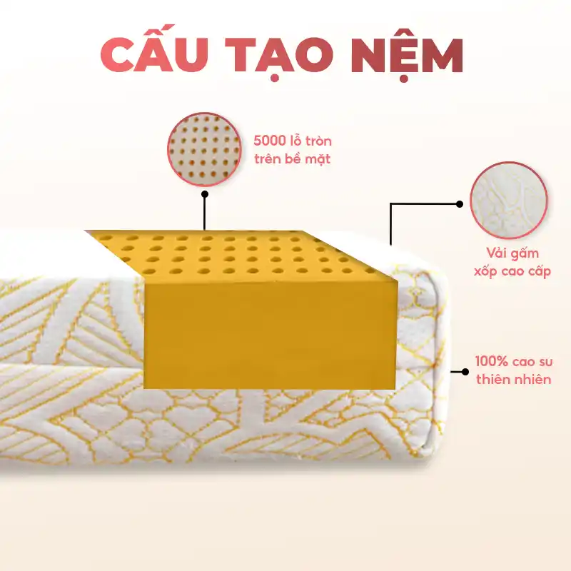Cấu tạo nệm cao su thiên nhiên 1 mặt lỗ Beetex