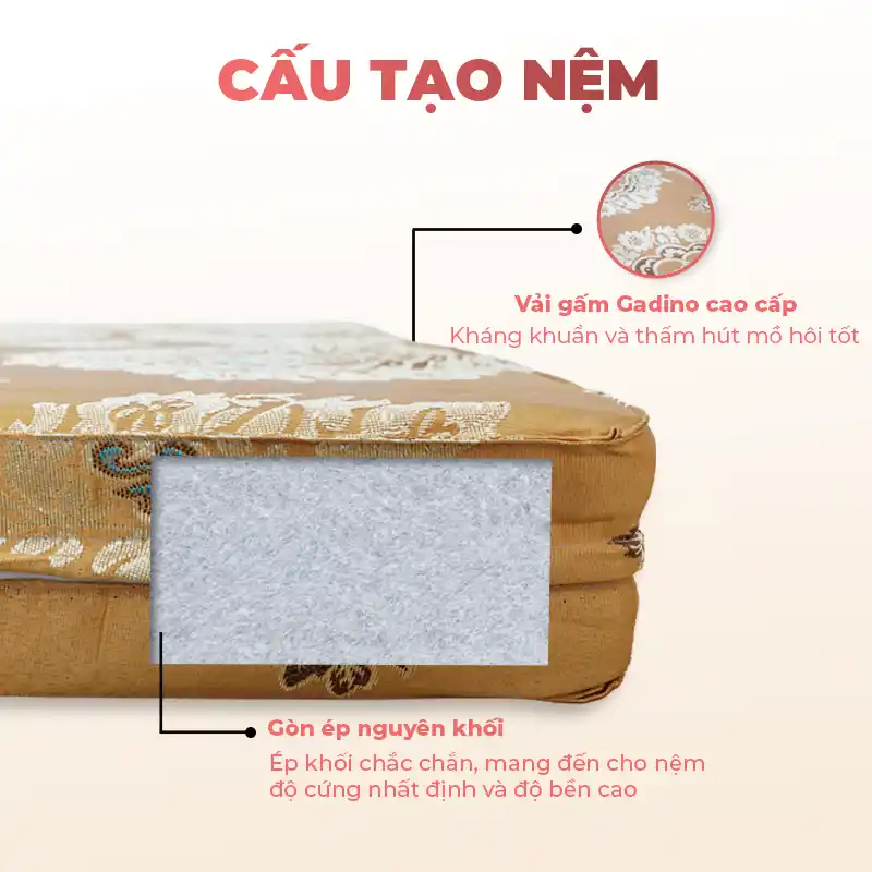 Nệm Gòn Gấm Gadino Gấp 3 4 Nệm Gòn Gấm Gadino Gấp 3 - Ảnh 4