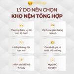 Nệm Foam D’Venic Cool 14