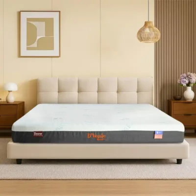 Nệm Foam D'Venic Cool Massage