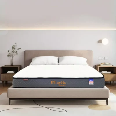 Nệm lò xo túi D'Loviis Hydric