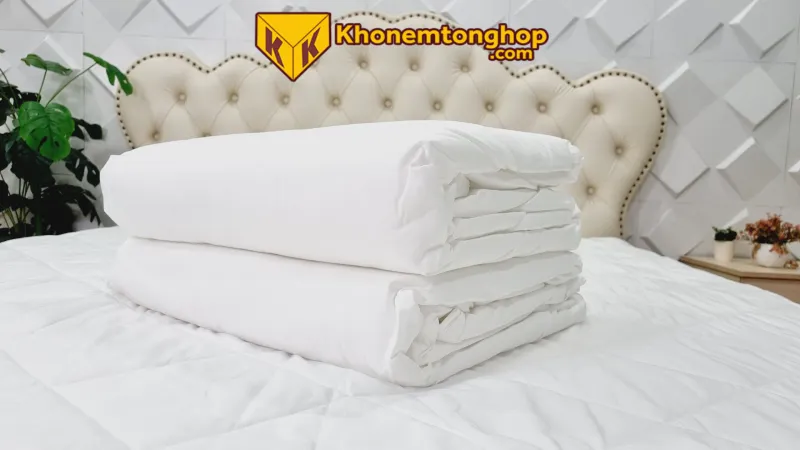 Ga giường màu trắng chống thấm đẹp