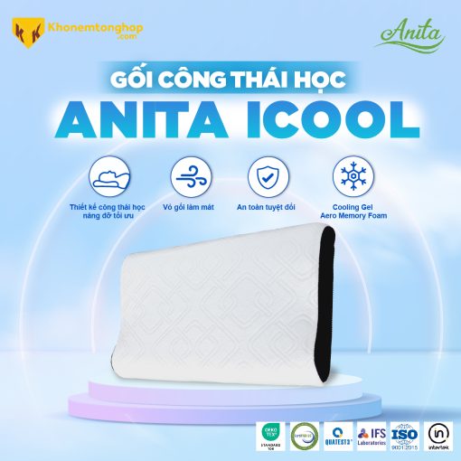 Gối Công Thái Học Anita Icool