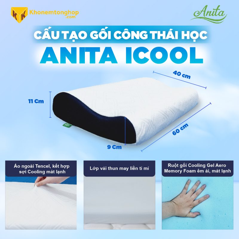 Cấu tạo Gối Công Thái Học Anita Icool