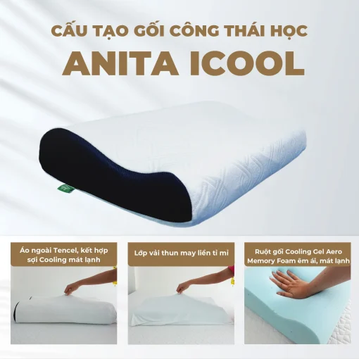 GỐI CÔNG THÁI HỌC ANITA ICOOL 3
