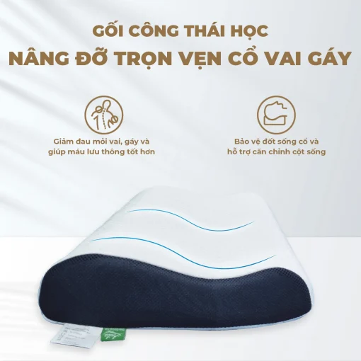 GỐI CÔNG THÁI HỌC ANITA ICOOL 5