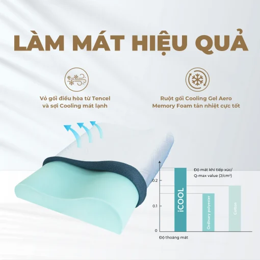 GỐI CÔNG THÁI HỌC ANITA ICOOL 4