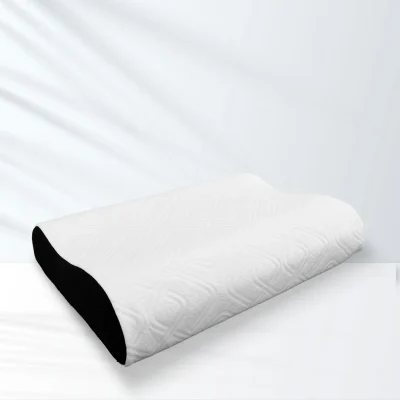 GỐI CÔNG THÁI HỌC ANITA ICOOL
