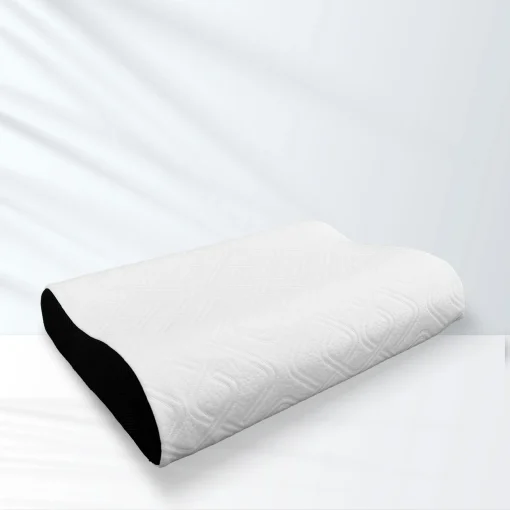 GỐI CÔNG THÁI HỌC ANITA ICOOL 1