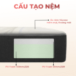 Nệm Foam D’Venic Cool 12