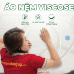 Nệm Foam D’Venic Cool 8