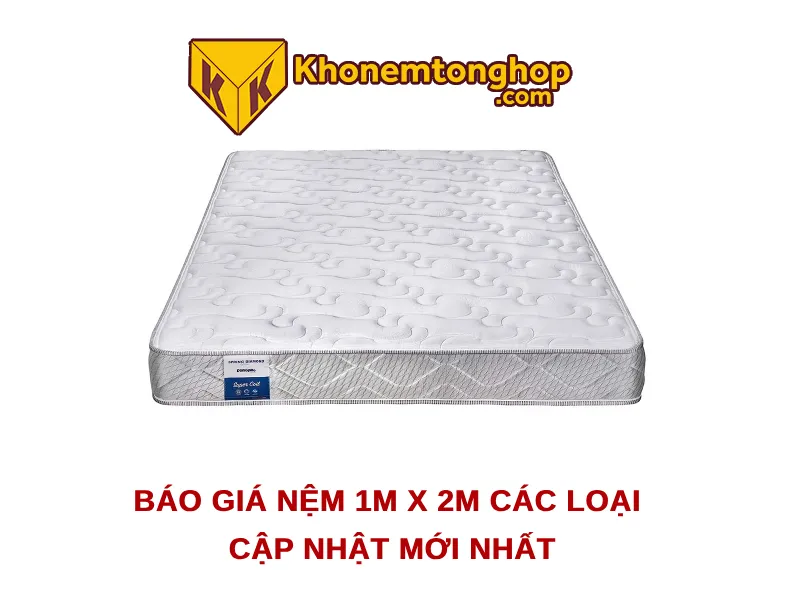 Báo giá nệm 1m x 2m các loại cập nhật mới nhất [timect]