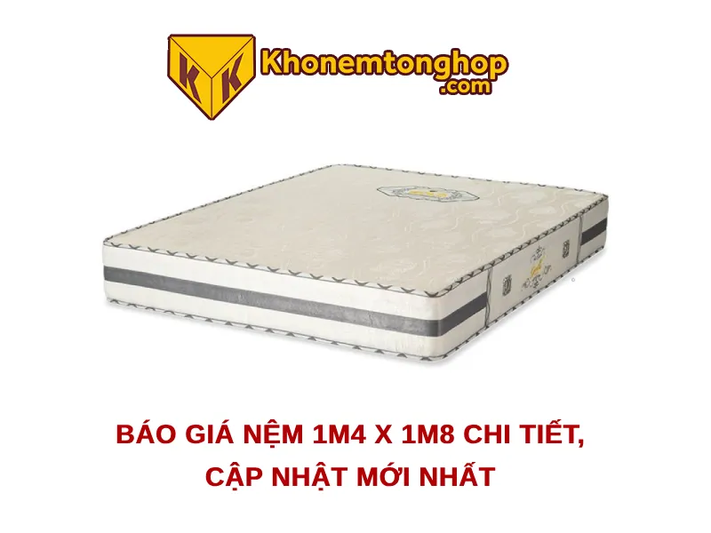 Báo giá nệm 1m4 chi tiết, chính xác cập nhật mới nhất [timect]