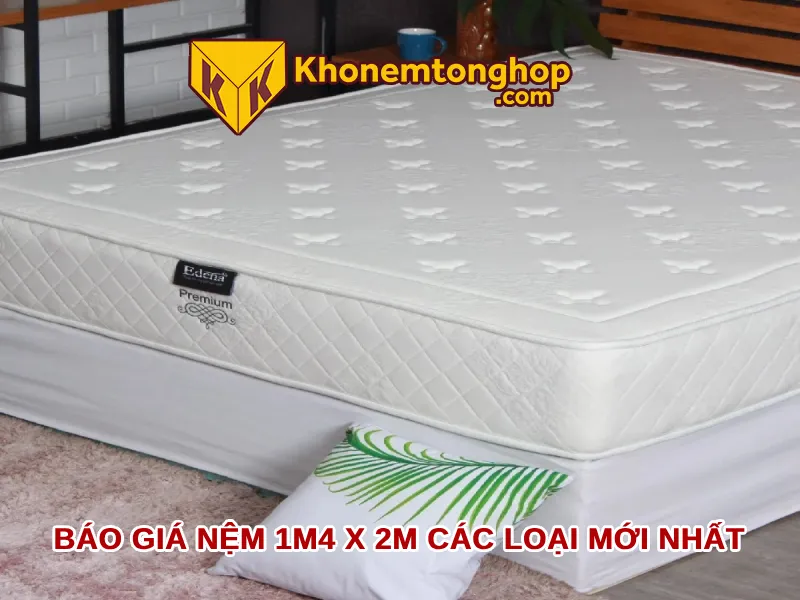 Báo giá nệm 1m4 x 2m các loại mới nhất [timect]