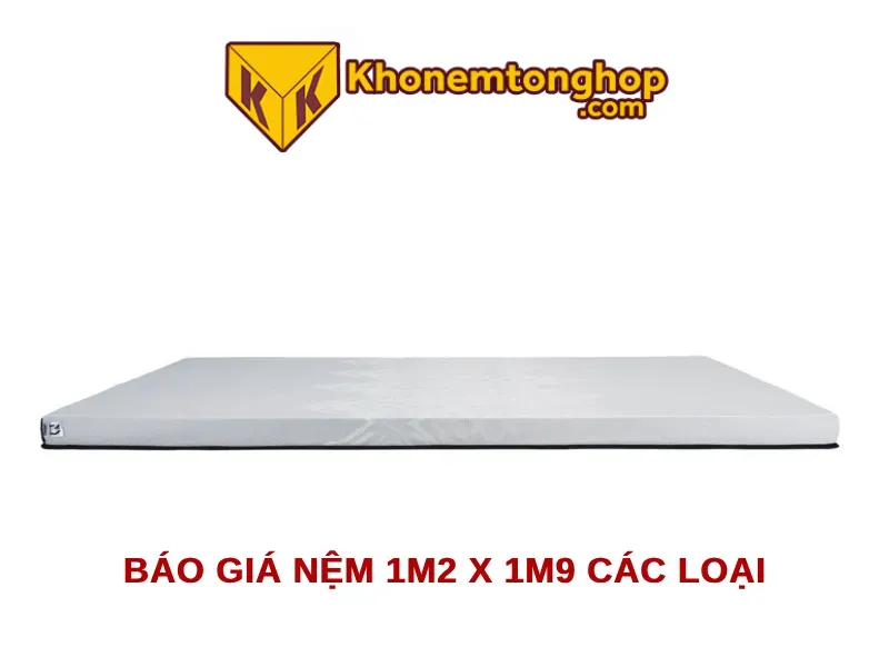 Báo giá nệm 1m2 x 1m9 các loại cập nhật 2024