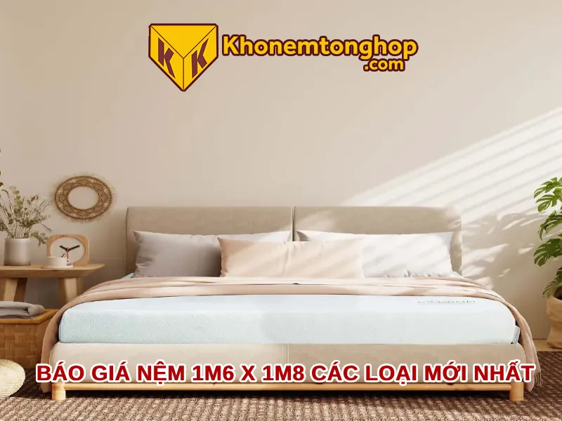 Báo giá nệm 1m6 x 1m8 các loại mới và chi tiết nhất 2024