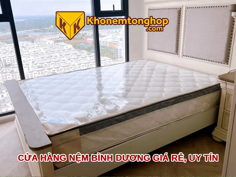 Cửa hàng nệm Bình Dương giá rẻ, uy tín