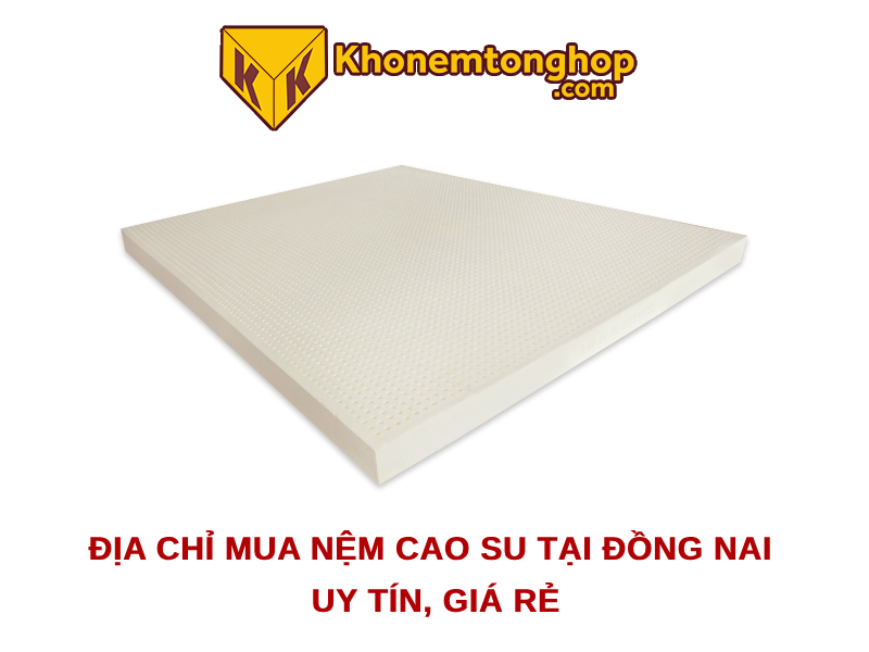 Địa chỉ mua nệm cao su tại Đồng Nai uy tín, giá rẻ