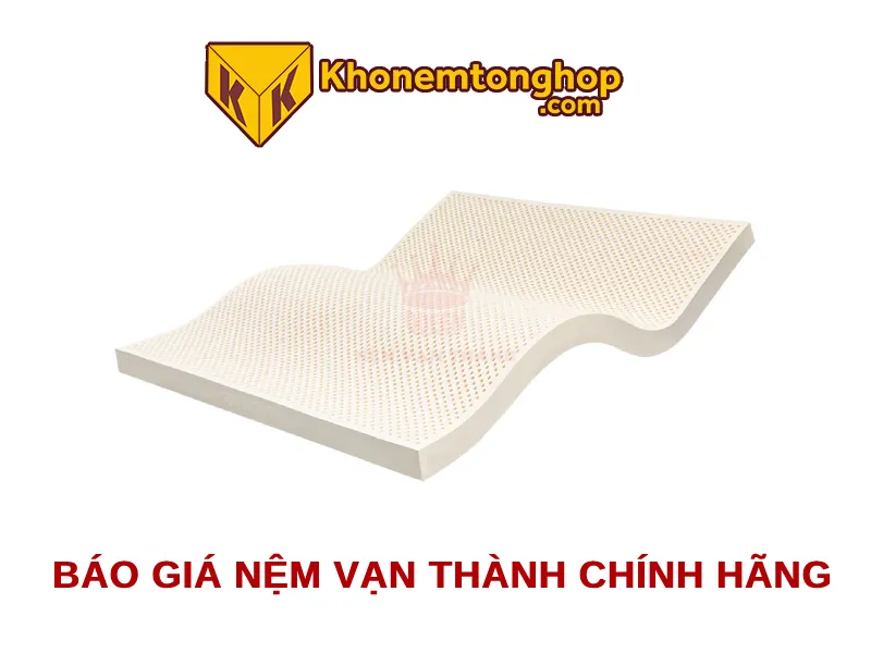 Báo giá nệm Vạn Thành chính hãng [timect]