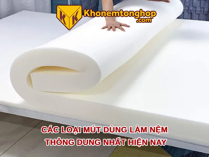 Các loại mút dùng làm nệm thông dung nhất hiện nay [timect]