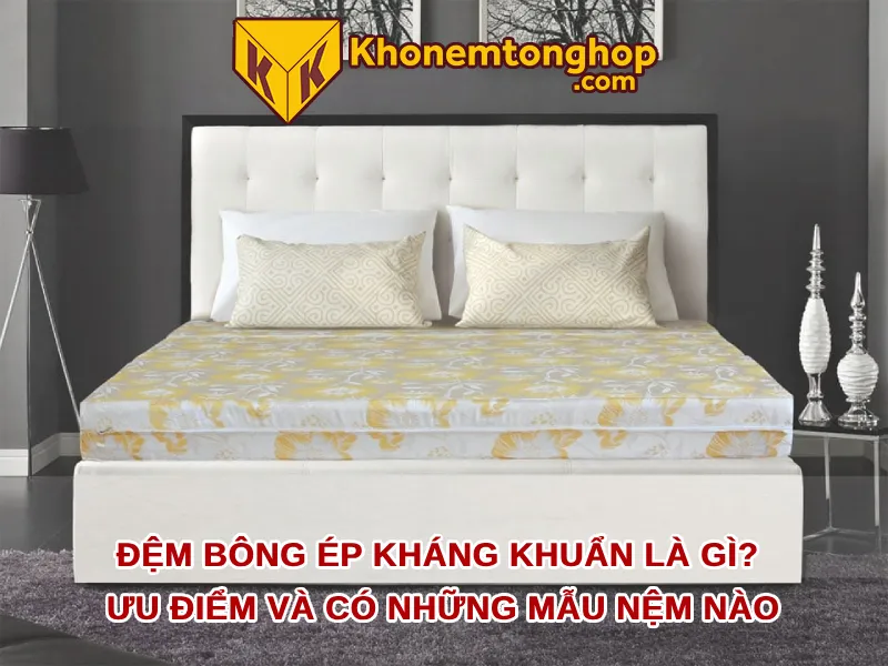 Đệm bông ép kháng khuẩn là gì? Ưu điểm và có những mẫu nệm nào