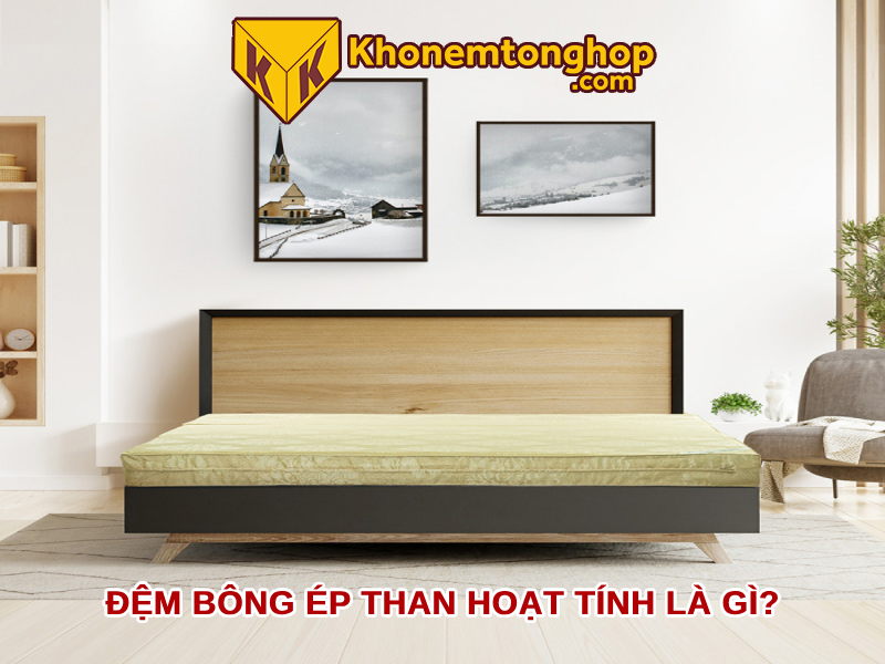 Đệm bông ép than hoạt tính là gì? Ưu điểm và một số mẫu nệm bông ép than hoạt tính