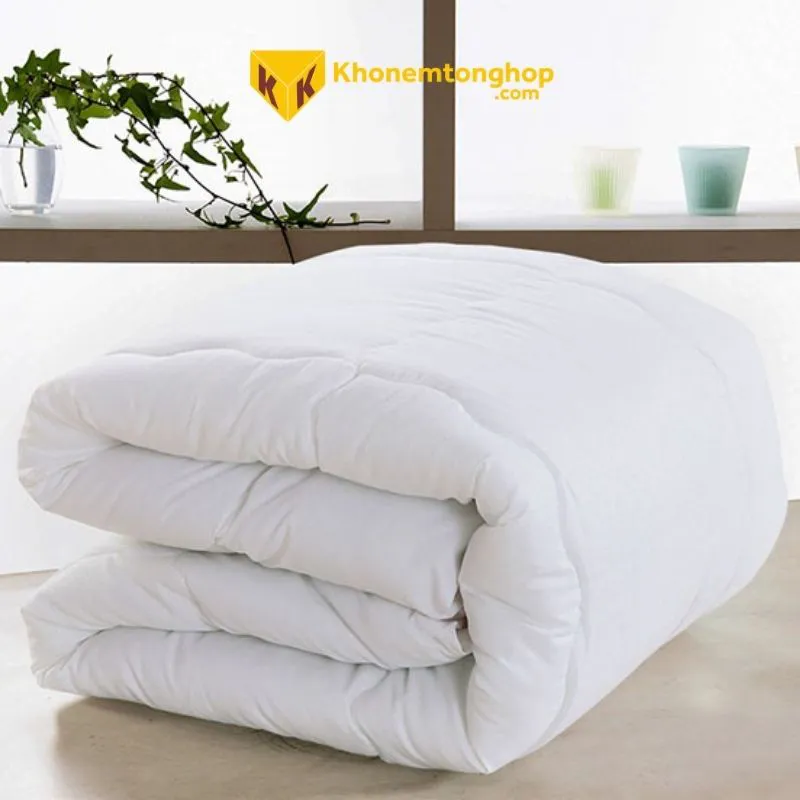 Mua ruột chăn khách sạn ở đâu chất lượng, giá rẻ?