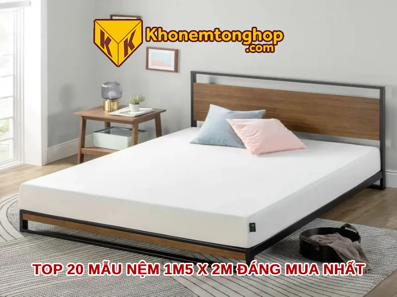 Top 20 mẫu nệm 1m5 x 2m đáng mua nhất 2024