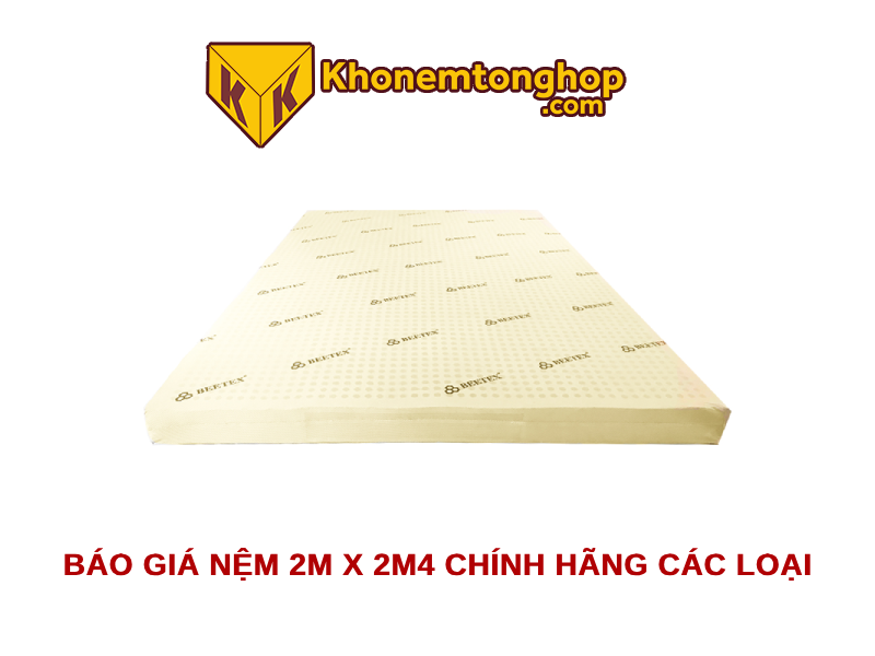 Báo giá nệm 2m x 2m4 chính hãng các loại [timect]