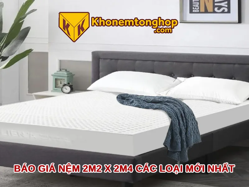 Báo giá nệm 2m2 x 2m4 các loại mới nhất [timect]