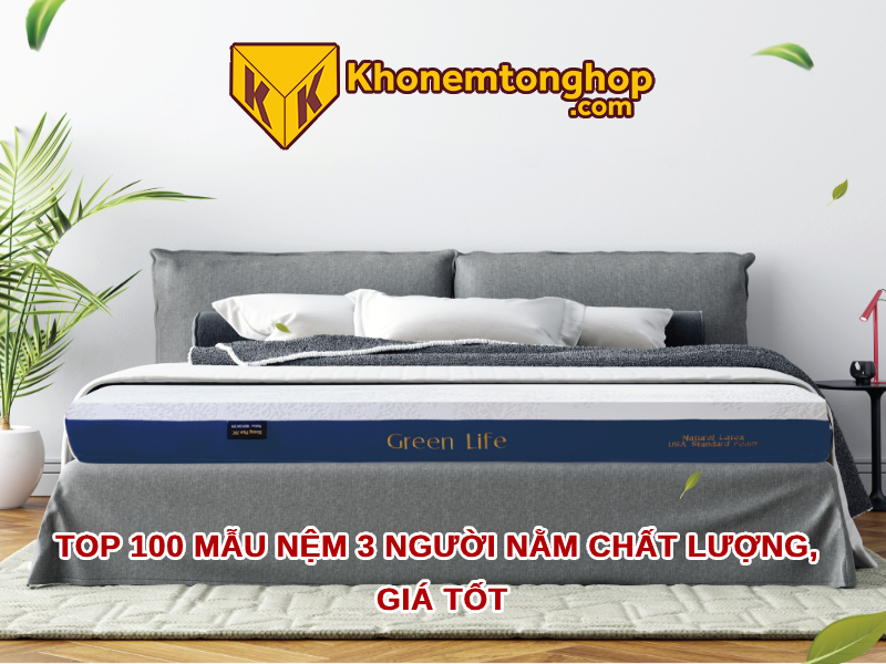 Top 100 mẫu nệm 3 người nằm chất lượng, giá tốt 2024