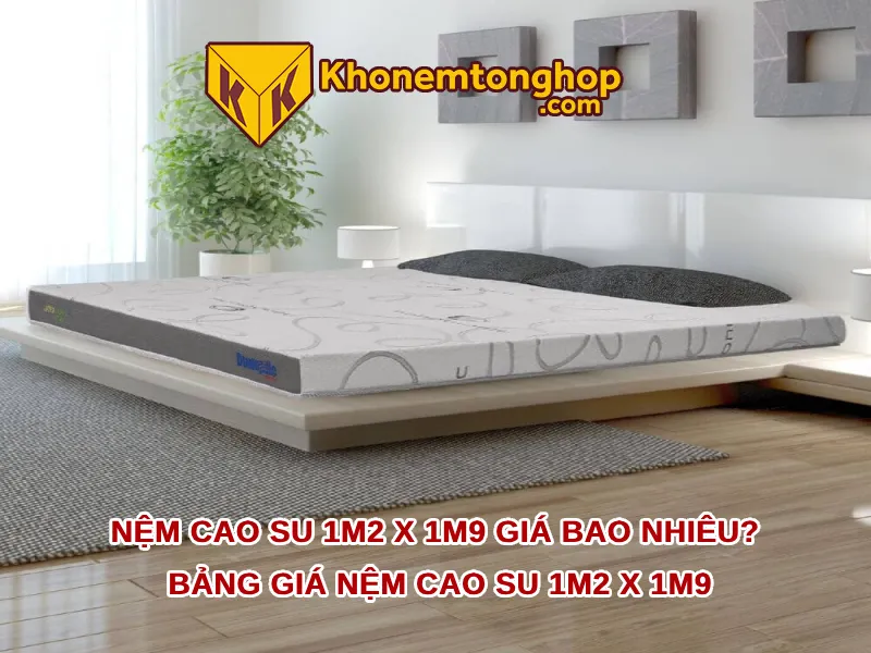 Nệm cao su 1m2 x 1m9 giá bao nhiêu? Bảng giá nệm cao su 1m2 x 1m9 2024