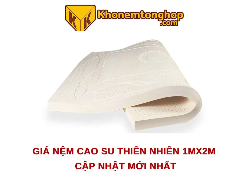 Giá nệm cao su thiên nhiên 1mx2m cập nhật mới nhất [timect]