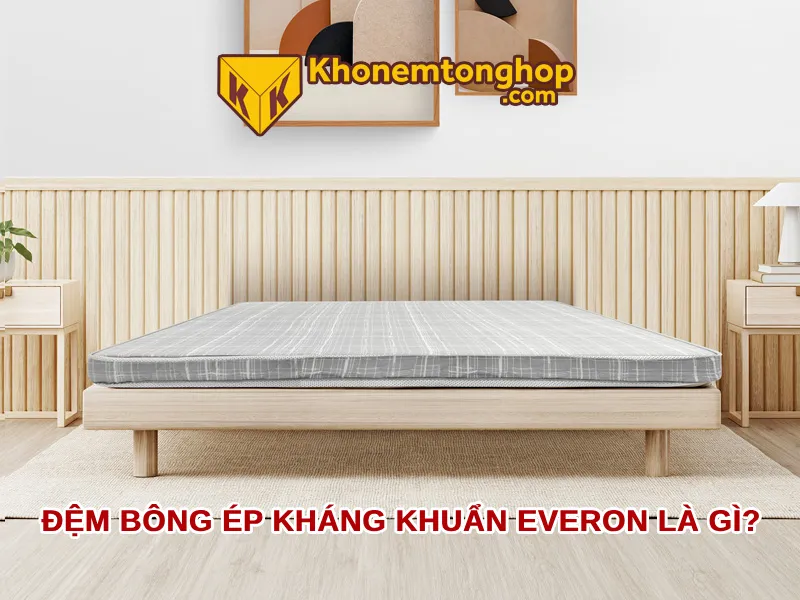 Đệm bông ép kháng khuẩn everon là gì?