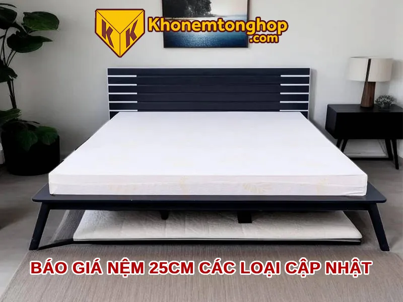 Báo giá nệm 25cm các loại cập nhật [timect]