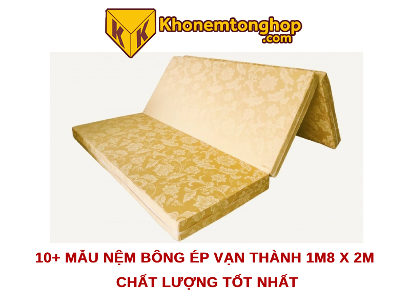 10+ mẫu nệm bông ép Vạn Thành 1m8 x 2m chất lượng tốt nhất