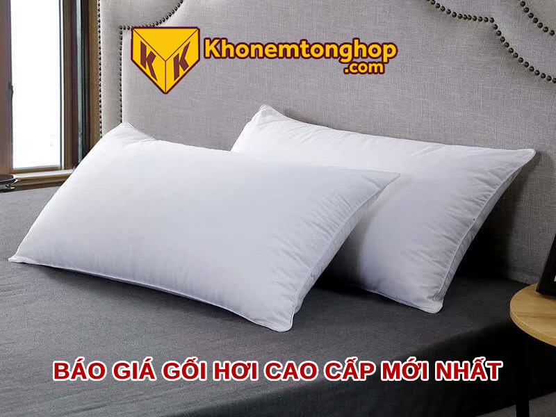 [Cập nhật] Báo giá gối hơi cao cấp mới nhất [timect]