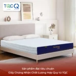 Nệm Cao Su Nhân Tạo Beetex Foam 7