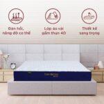 Nệm Cao Su Nhân Tạo Beetex Foam 9