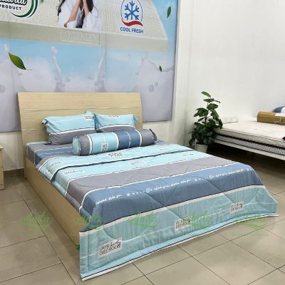 Combo Drap Bộ Tencel Microfiber (4món) - Mã Số 56 8