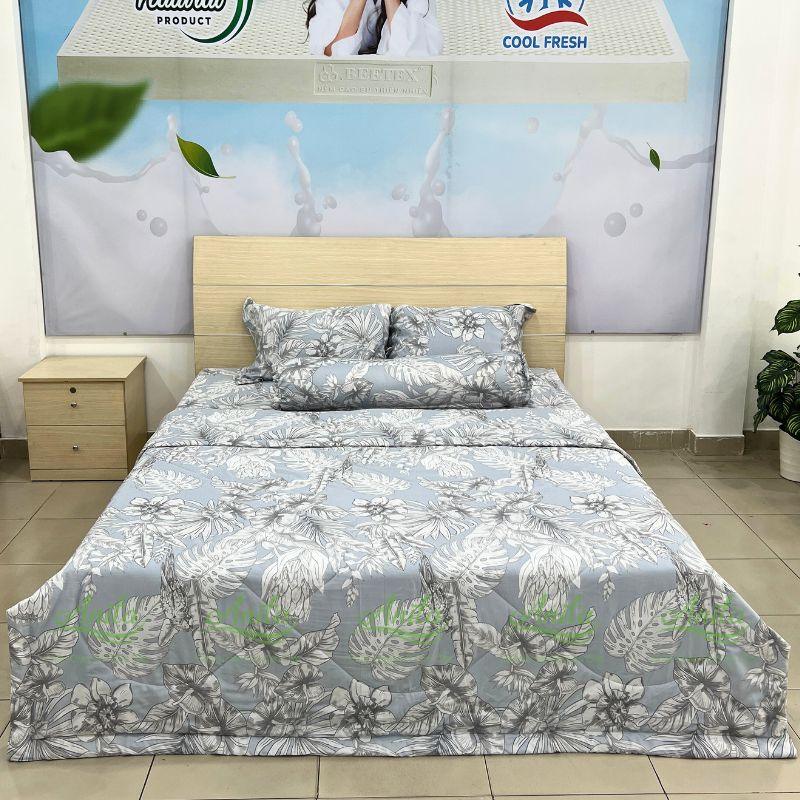 Combo Drap Bộ Tencel Microfiber 4 món Mã Số 58
