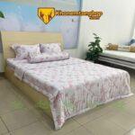 Combo Drap Mền Tencel Microfiber (5 món) – Mã số 55 mềm mịn, thoáng khí và bền bỉ